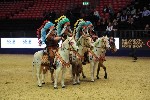 Quadrille - 00146